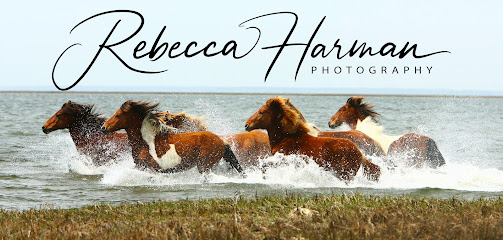Rebecca Harman Photography