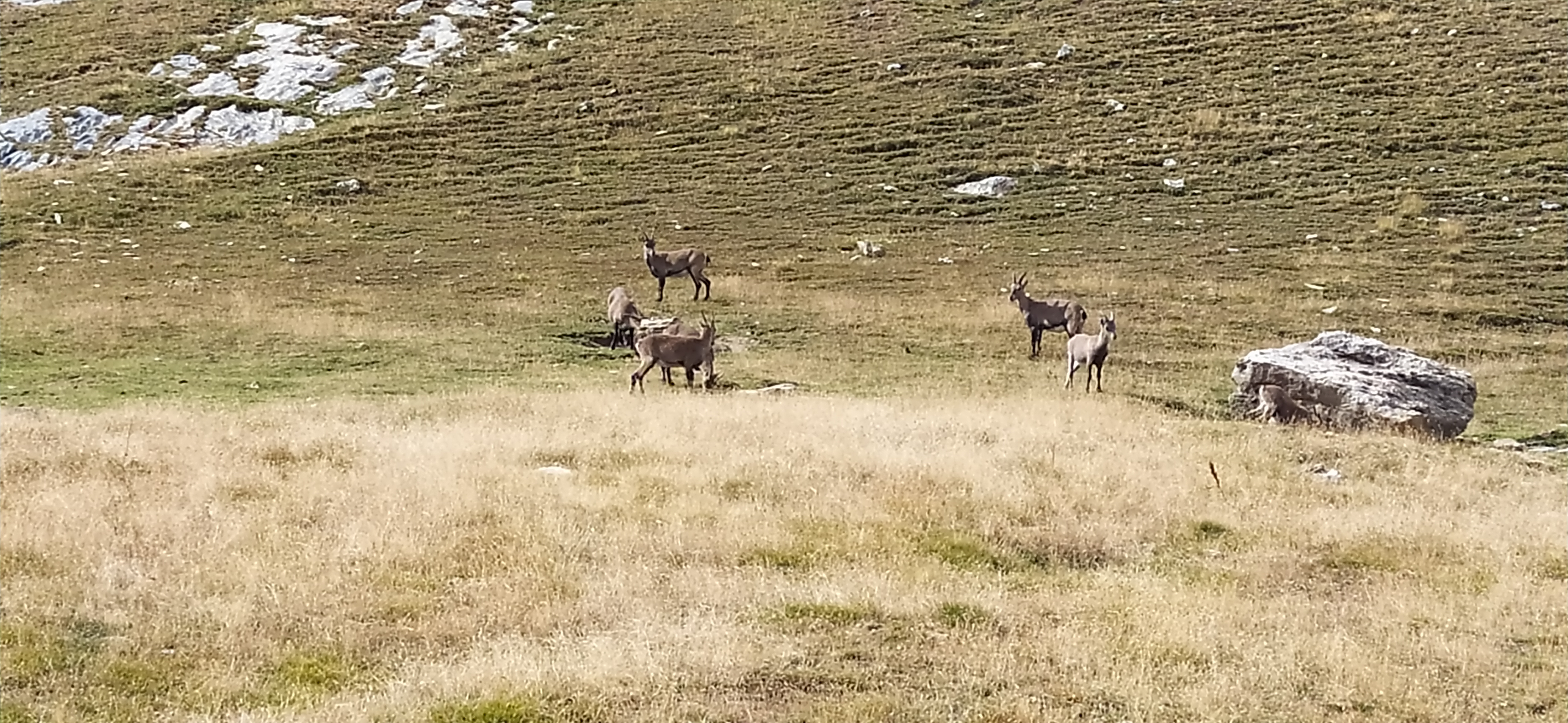 Photo n° 3 de l'avis de Pascal.a fait le 13/09/2022 à 16:05