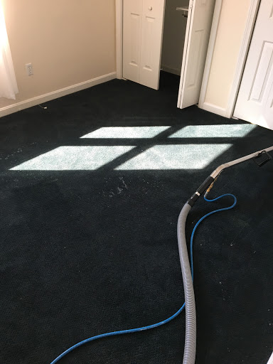 Hartford Carpet & Upholstery Clean in Enfield, Connecticut