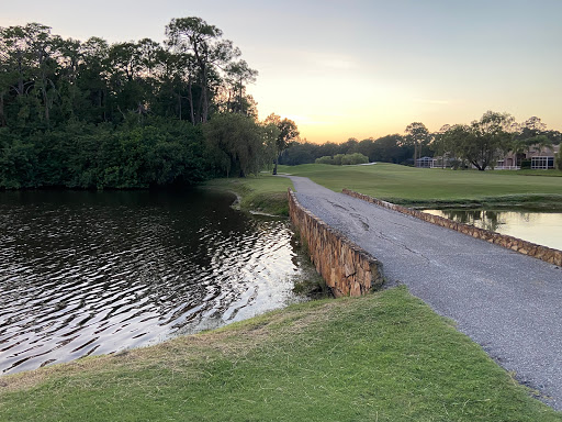 Golf Course «East Lake Woodlands Country Club», reviews and photos, 1055 E Lake Woodlands Pkwy, Oldsmar, FL 34677, USA