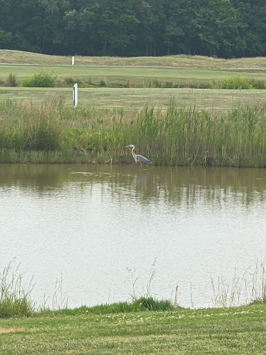 Golf Course «Great Hope Golf Course», reviews and photos, 8380 Crisfield Hwy, Westover, MD 21871, USA