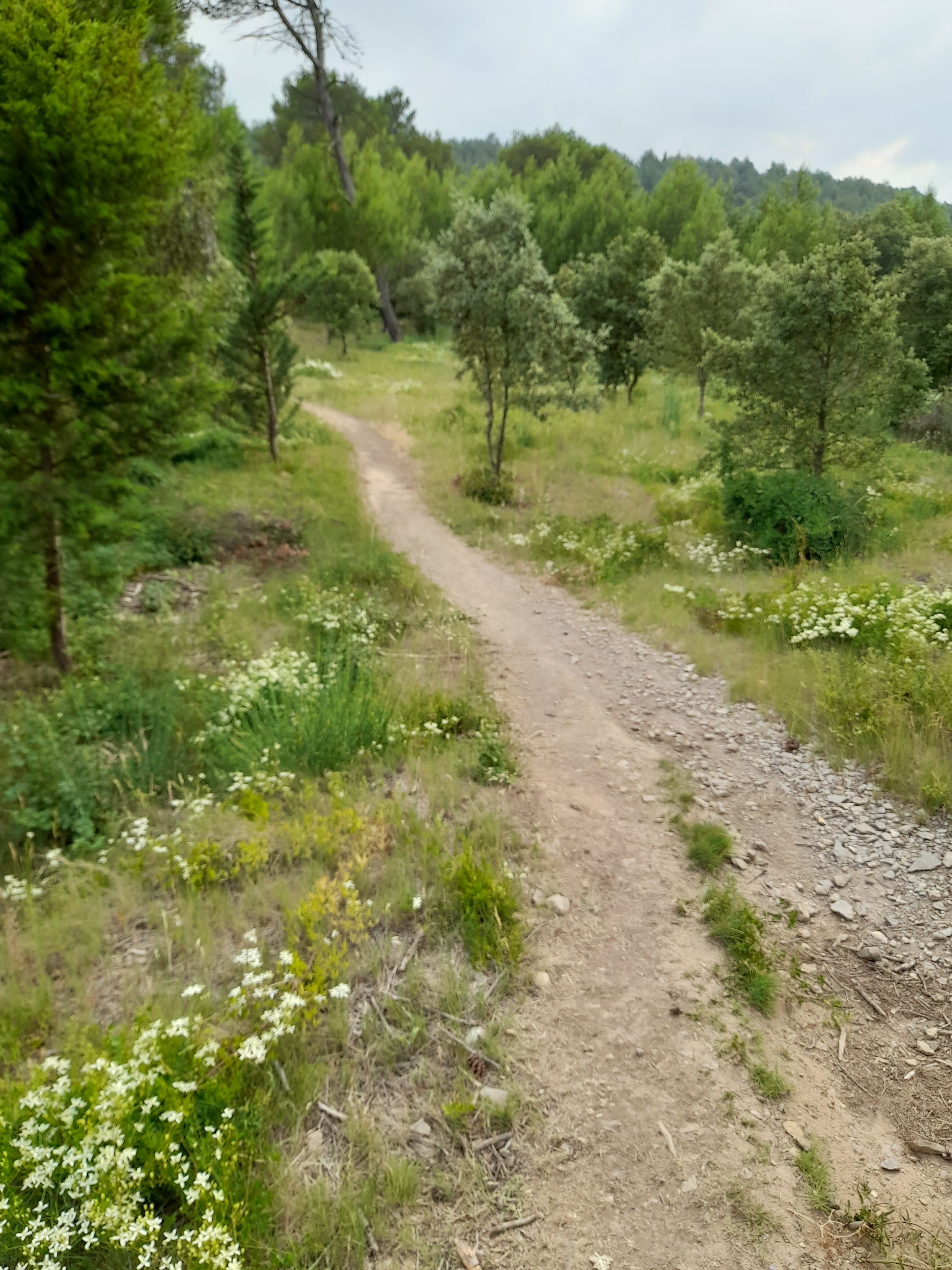 Photo n° 14 de l'avis de Bilbon.A fait le 20/06/2022 à 20:00