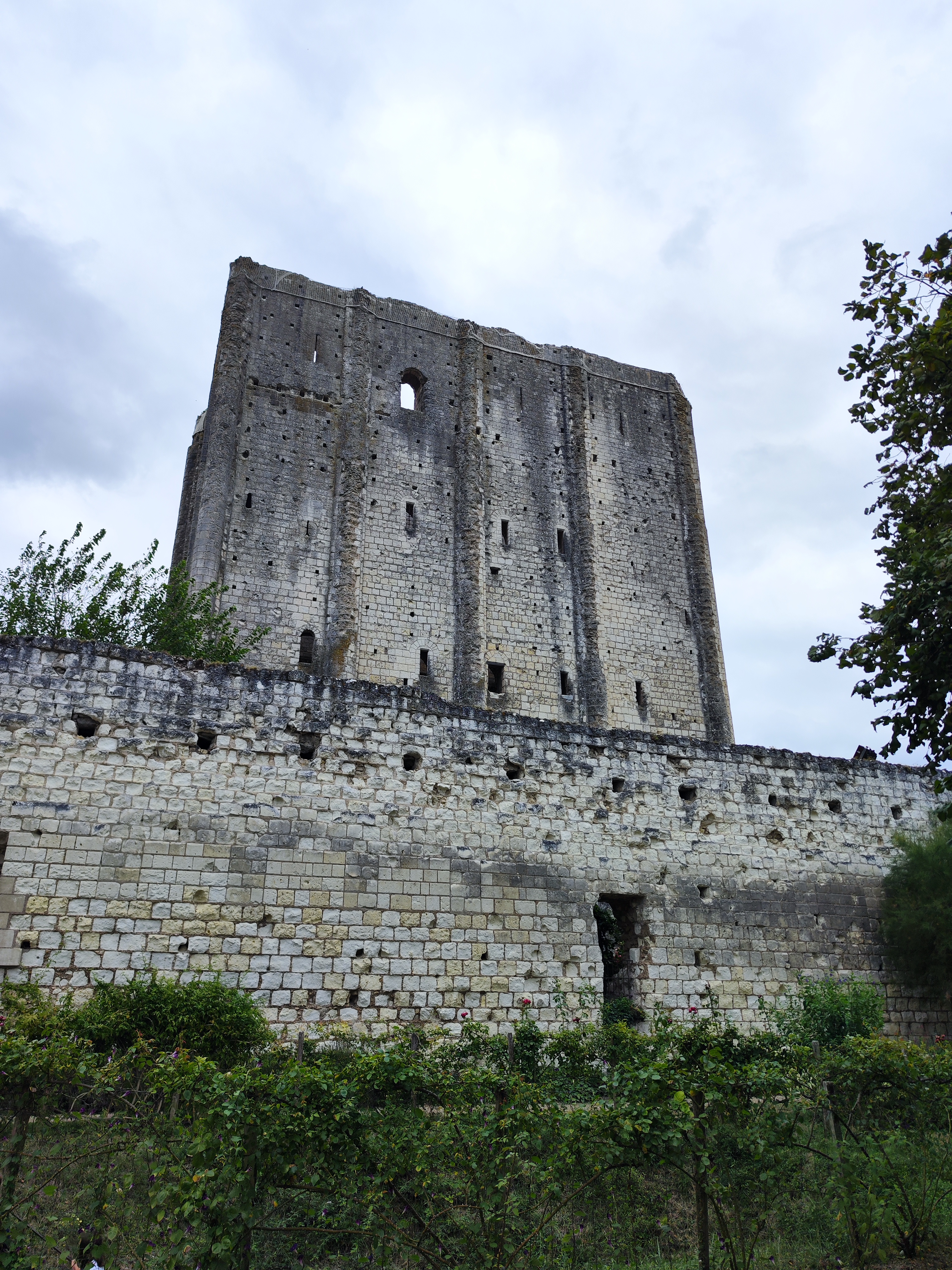 Photo n° 2 de l'avis de gilles.e fait le 25/08/2023 à 17:54
