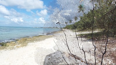 Photos of Av Libertad