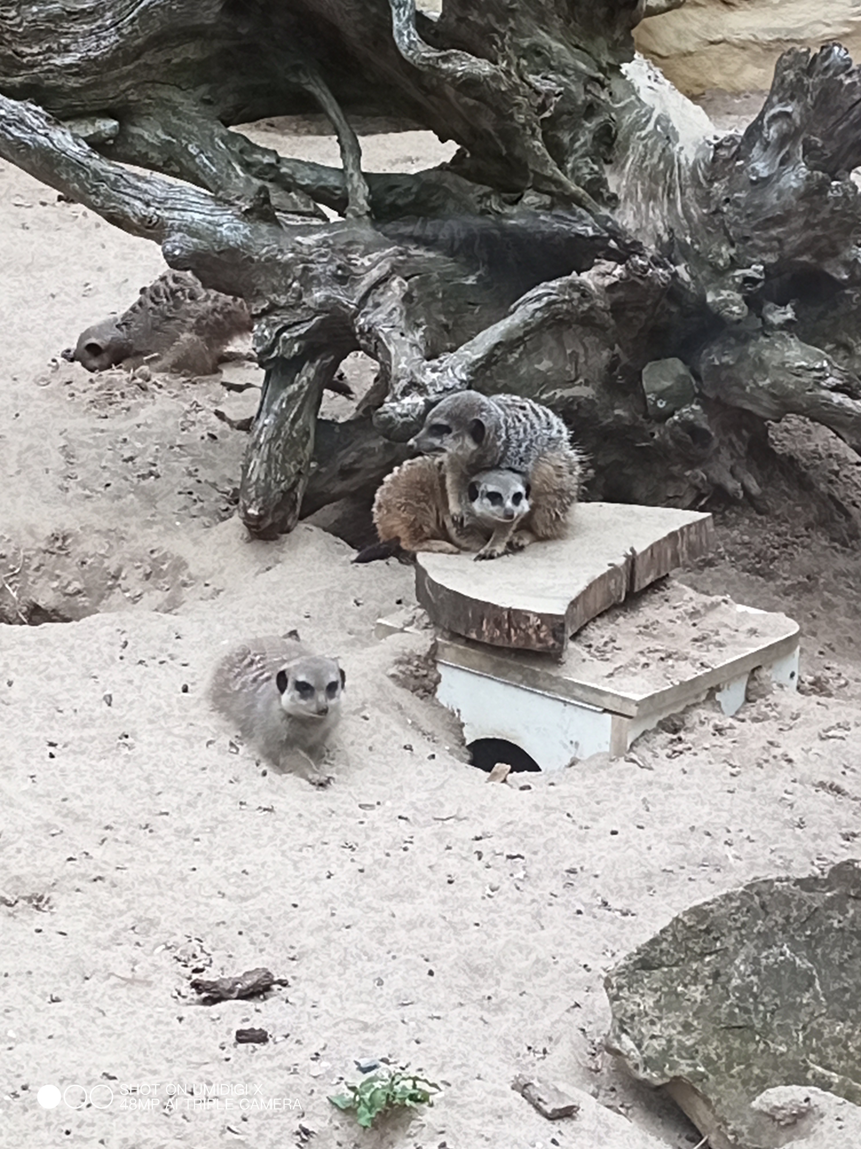 Photo n° 1 de l'avis de Eduardo.r fait le 19/06/2021 à 21:30