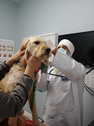 Allwest Animal Hospital image