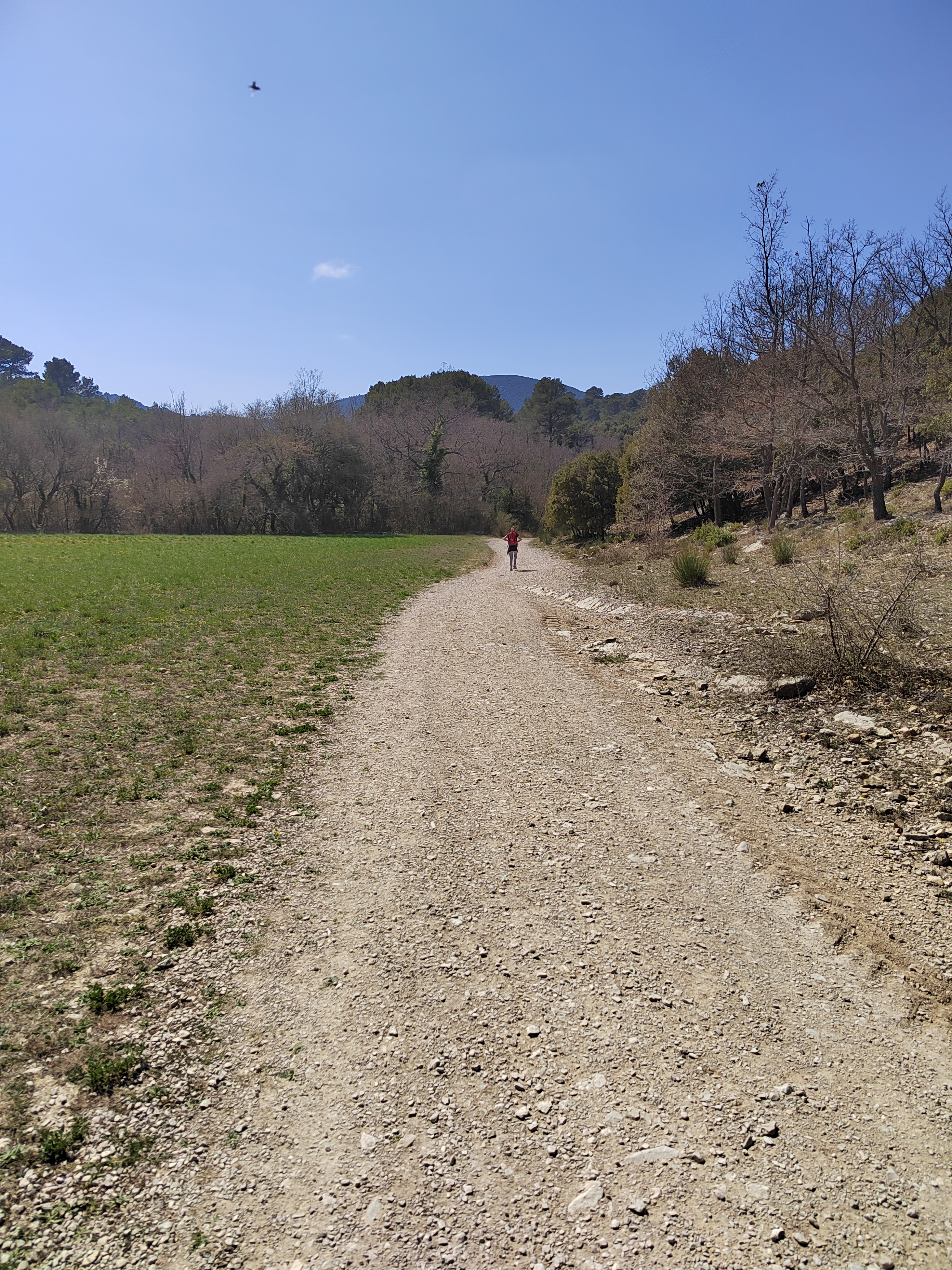 Photo n° 6 de l'avis de Erwan.a fait le 17/04/2022 à 05:44