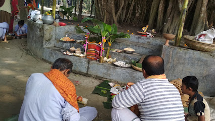 Bainna Banyan Tree