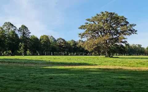 Trent Country Park image