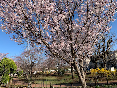 さくら公園