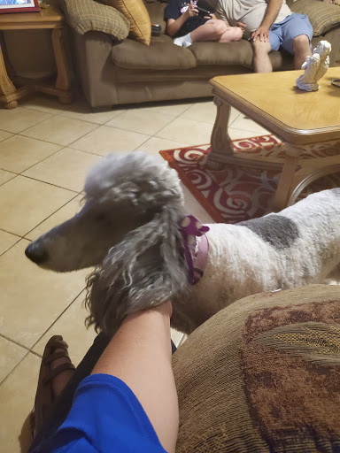 Pet Supply Store «Pet Supplies Plus», reviews and photos, 1704 Greenville Ave, Dallas, TX 75206, USA