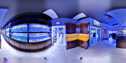 Tropical Fish Store «Living Reef Orlando», reviews and photos, 504 N Alafaya Trail #112, Orlando, FL 32828, USA