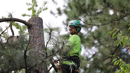 North Idaho Tree Removal LLC