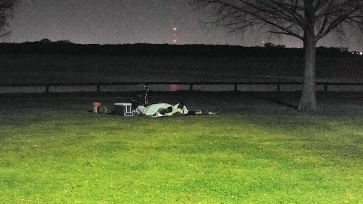 Park «Bowman Springs Park», reviews and photos, 7003 W Poly Webb Rd, Arlington, TX 76016, USA