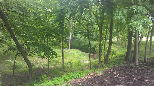 Golf Course «Shoal Creek Golf Course», reviews and photos, 8905 Shoal Creek Pkwy, Kansas City, MO 64157, USA