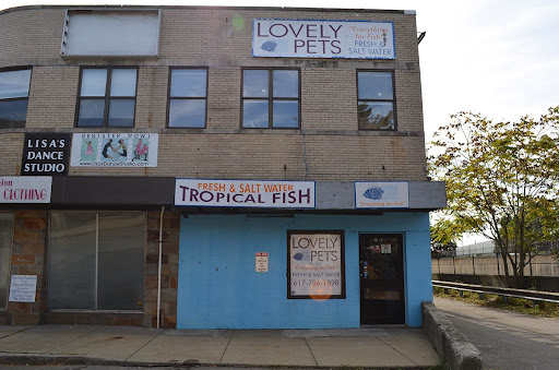 Tropical Fish Store «Lovely Pets Aquarium Store», reviews and photos, 69 Parkingway, Quincy, MA 02169, USA