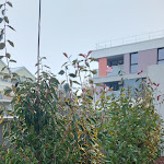 Photo n° 1 de l'avis de Danousse.. fait le 04/12/2023 à 09:01 pour LANTANA PAYSAGE DIJON à Norges-la-Ville