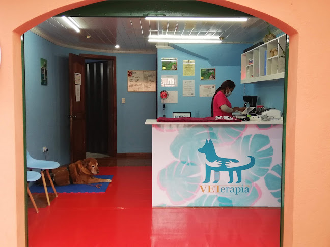 Opiniones de VETerapia en Cuenca - Veterinario