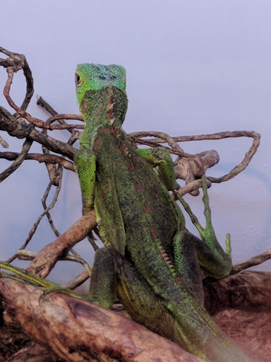 Pet Supply Store «Pet Supermarket, Inc.», reviews and photos, 598 N McCarran Blvd, Sparks, NV 89431, USA