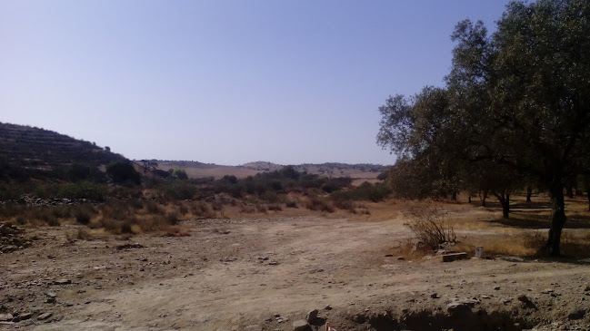 Transportes De Carga Alfandanga, Lda