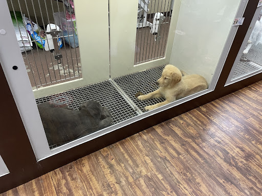 Pet Store «Petland of Plantation», reviews and photos, 801 S University Dr, Plantation, FL 33324, USA