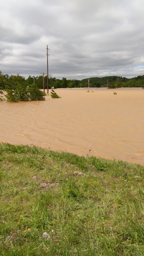 Grocery Store «Town & Country Supermarket», reviews and photos, US-160, Doniphan, MO 63935, USA