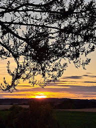 Photo n°15 de Charente Maritime à Montils ()