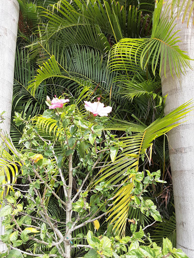 Casino «Seminole Casino Hotel Immokalee», reviews and photos, 506 S 1st St, Immokalee, FL 34142, USA