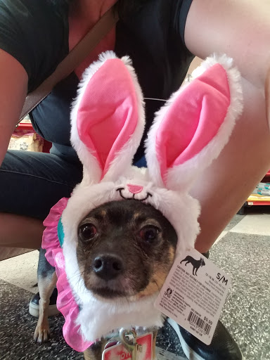 Pet Supply Store «Petco Animal Supplies», reviews and photos, 430 N Euclid St, Anaheim, CA 92801, USA