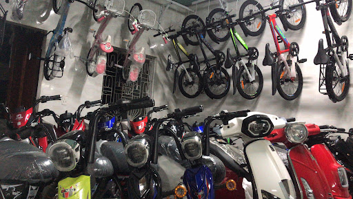 Top 10 cửa hàng bon bon Huyện Gio Linh Quảng Trị 2022