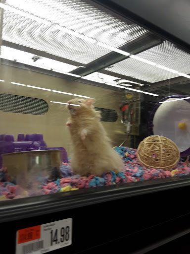 Pet Supply Store «Pet Supplies Plus», reviews and photos, 132 Randall Rd, Lake in the Hills, IL 60156, USA