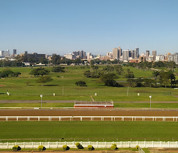 Hollywoodbets Greyville Racecourse photo