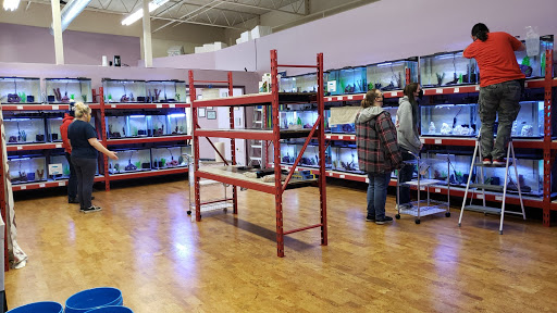 The Glass Box Tropical Fish