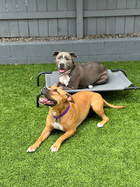 HUDSON'S CANINE KENNELS - Photo 3 - Car repair in Anaheim, CA, Anaheim