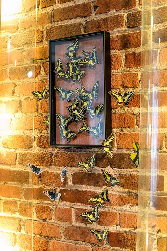 Hair Salon «PATRICK EVAN SALON», reviews and photos, PATRICK EVAN SALON, 55 Grant Ave, San Francisco, CA 94108, USA