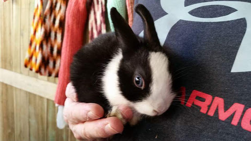 Pet Store «Plattsmouth Pets», reviews and photos, 430 Main St, Plattsmouth, NE 68048, USA