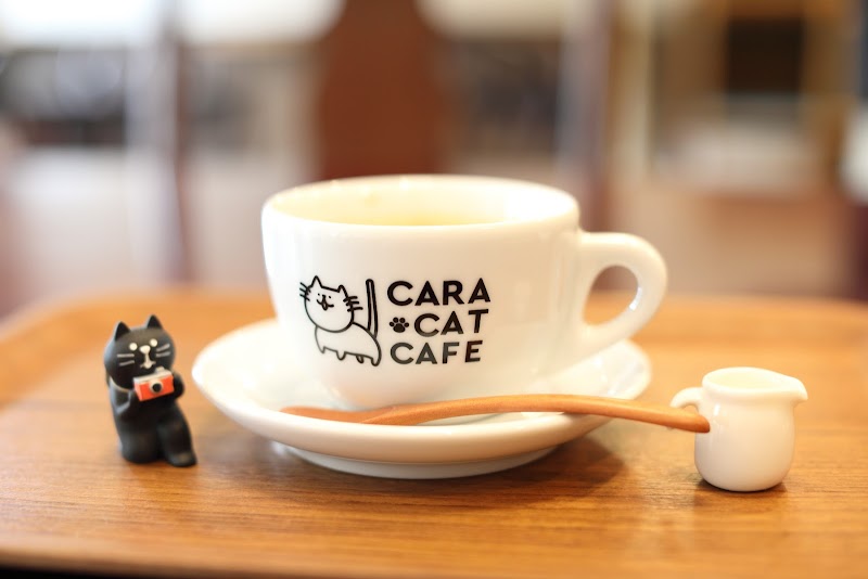 Cara Cat Cafe