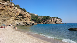 Foto di Livadi beach con baia spaziosa