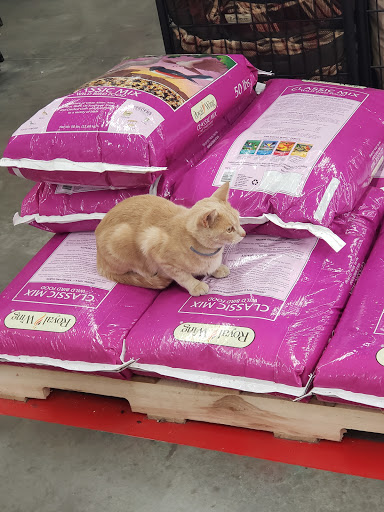 Home Improvement Store «Tractor Supply Co.», reviews and photos, 1701 US-377, Roanoke, TX 76262, USA