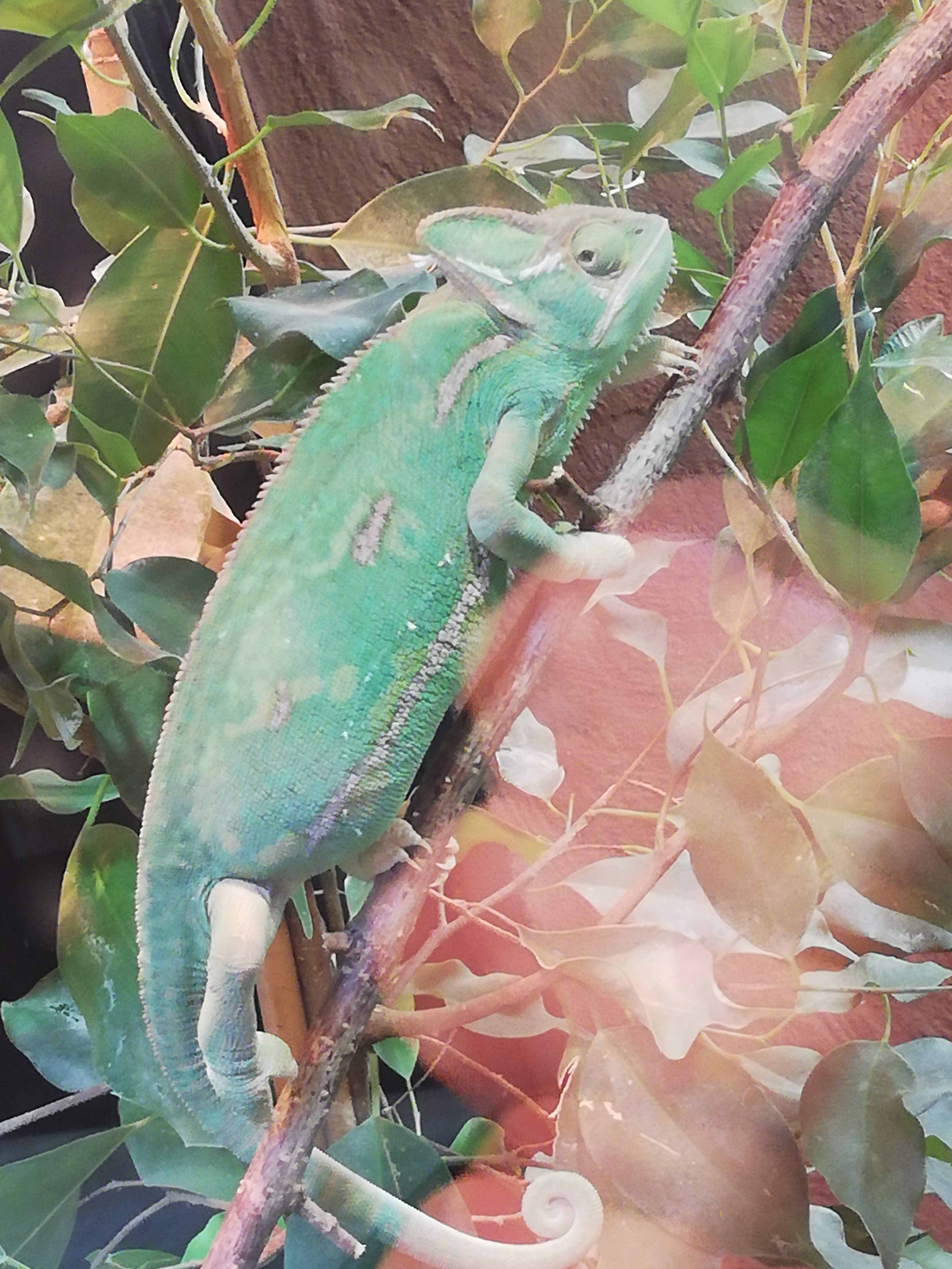 Photo n° 4 de l'avis de Saku'. fait le 06/06/2019 à 12:51