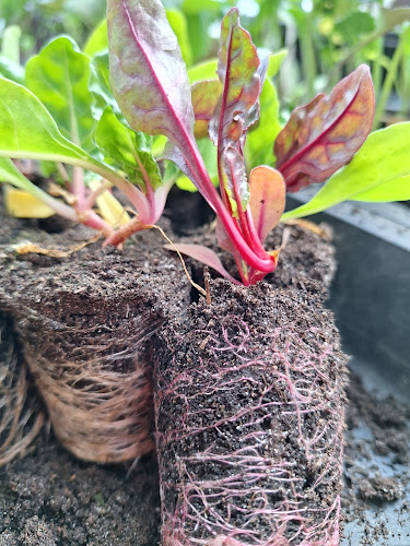 Le jardin des Senteurs Sàrl Öffnungszeiten