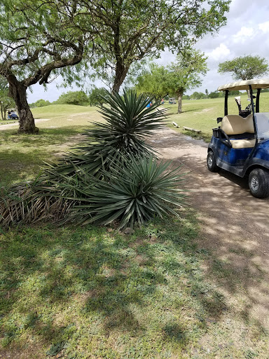 Golf Course «Harlingen Municipal Golf Course», reviews and photos, 2640 Golf Course Dr, Harlingen, TX 78550, USA