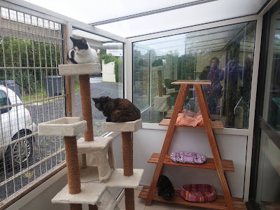 Spa Le Chat Et la Vie à Louvigny