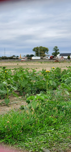 Orchard «Tuttle Orchards», reviews and photos, 5717 N 300 W, Greenfield, IN 46140, USA