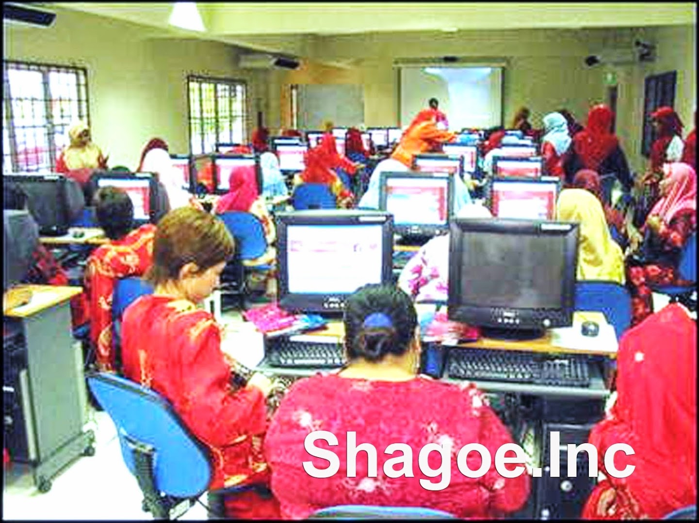 Shagoe.inc Photo