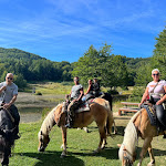 Photo n°3 de l'avis de Luca.e fait le 11/09/2023 à 05:19 sur le  Ranch Balla coi Lupi à Ramiseto