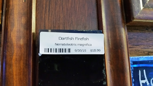 Tropical Fish Store «Beyond the Reef», reviews and photos, 205 W Golf Rd, Schaumburg, IL 60195, USA