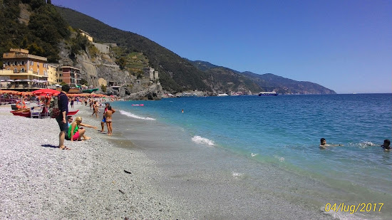 Tiburon beach
