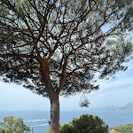 Photo n°4 de l'avis de Carolina.a fait le 25/07/2023 à 12:29 sur le  Hotel Il Pino à Praiano