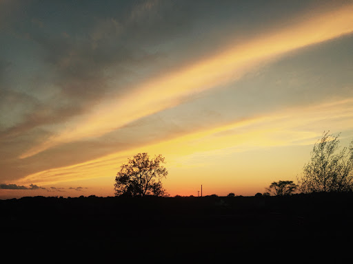 Farm «Abbey Farms», reviews and photos, 2855 Hart Rd, Aurora, IL 60502, USA